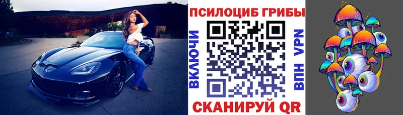 blacksprut маркетплейс  даркнет клад  Галлюциногенные грибы Cubensis  Николаевск-на-Амуре 